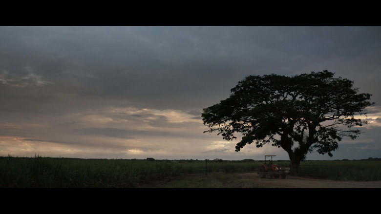 кадр из фильма Soñé su nombre