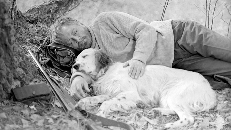 кадр из фильма Белый Бим Чёрное ухо