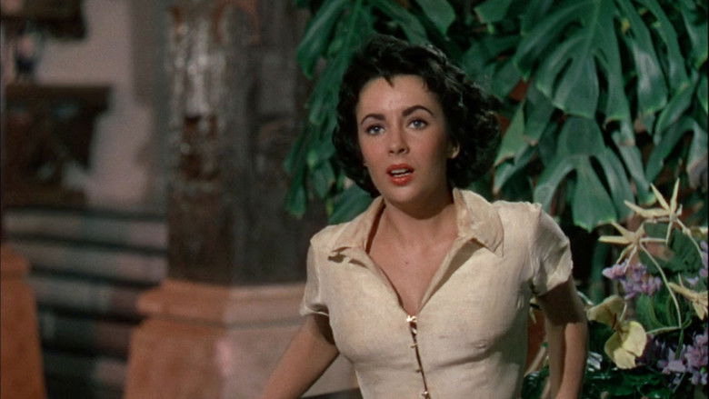 кадр из фильма Слоновья тропа