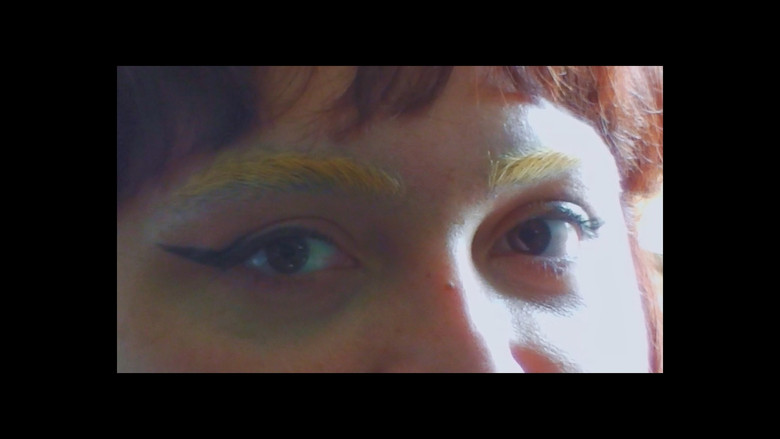 кадр из фильма Gabriela Misstrans: Delirio Disidente