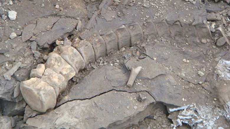 кадр из фильма Dinosaurs on Ice