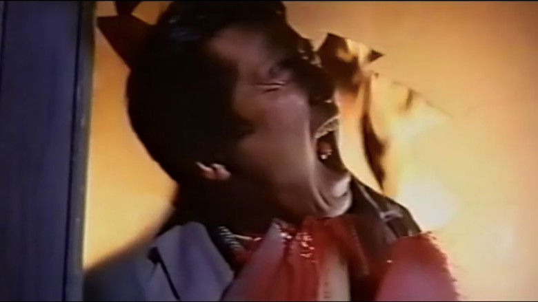 кадр из фильма Леди Чёрная Роза