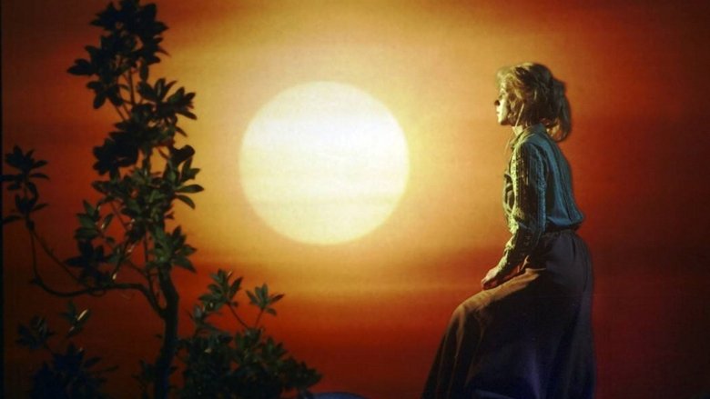 Принц за семью морями