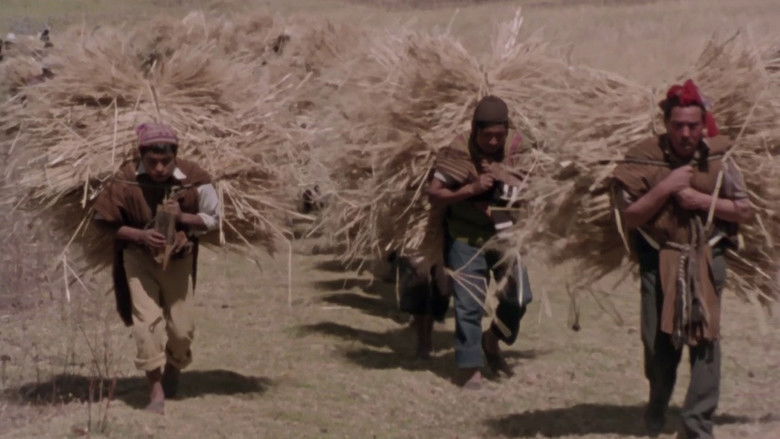 кадр из фильма Mémoires d'une enfant des Andes