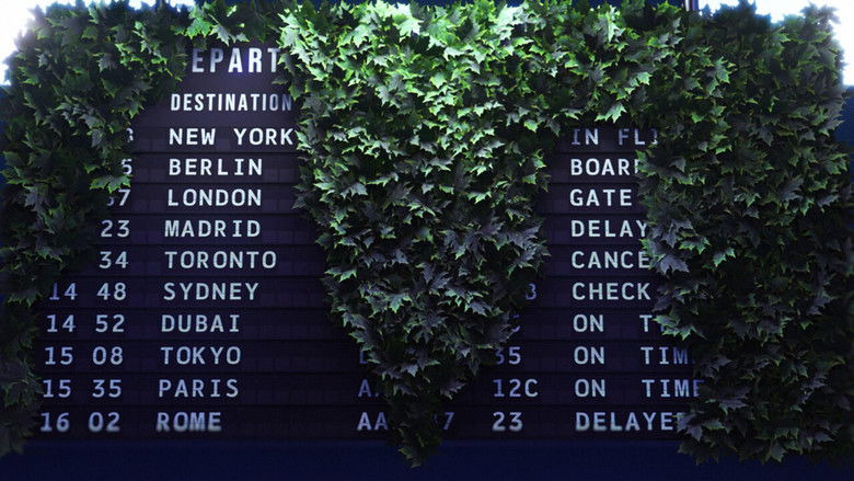 кадр из фильма The Untranslatable Forest