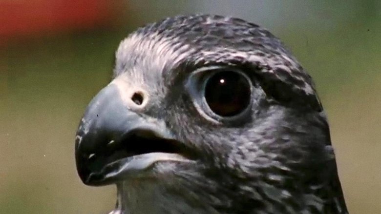 кадр из фильма Atonement