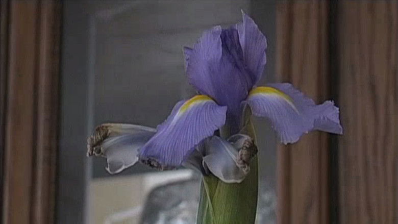 кадр из фильма Mayflower