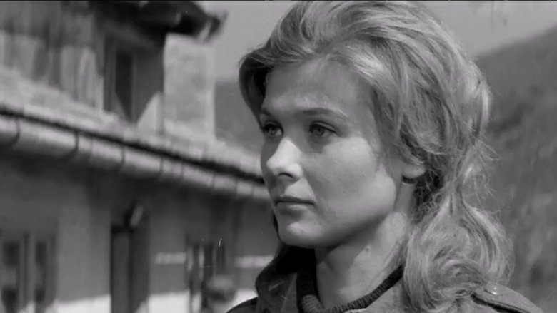 Десант на Дрвар