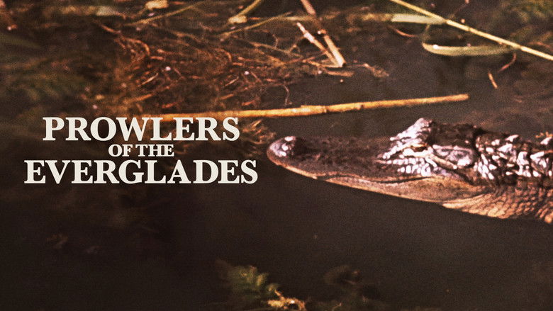кадр из фильма Prowlers of the Everglades