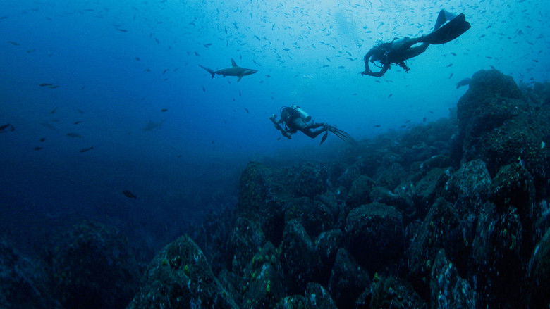 кадр из фильма Акулы И Луна. Удивительная Связь
