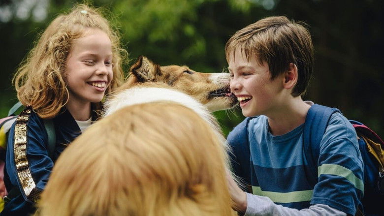 кадр из фильма Лесси. Возвращение домой