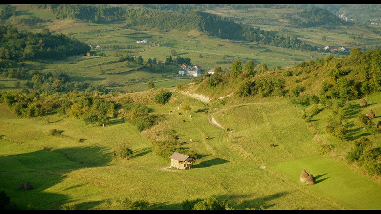 кадр из фильма Adentro mío estoy bailando
