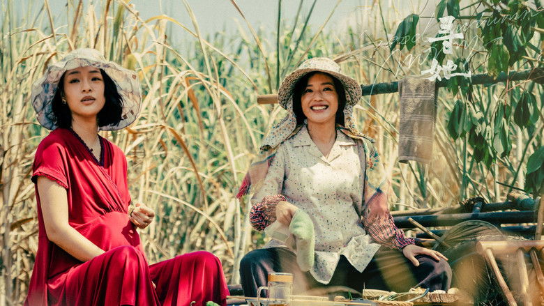 кадр из фильма 寻她