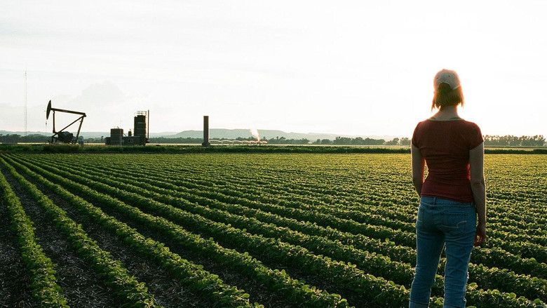 кадр из фильма My Country No More