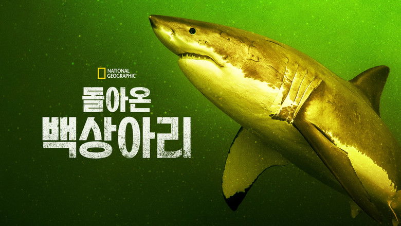 кадр из фильма Возвращение белой акулы