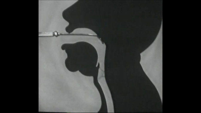 кадр из фильма Voice Production: The Vibrating Larynx