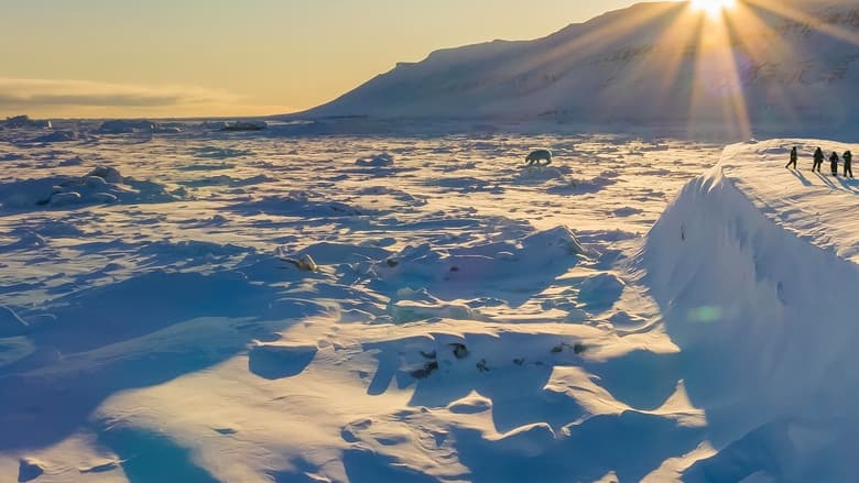 кадр из фильма Bear Witness