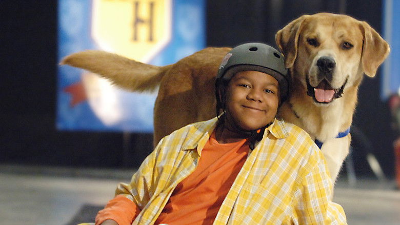 кадр из фильма Лучший пес