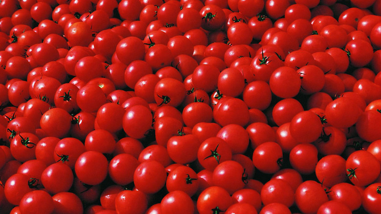 кадр из фильма The Action Art of Hermann Nitsch from Past to Present