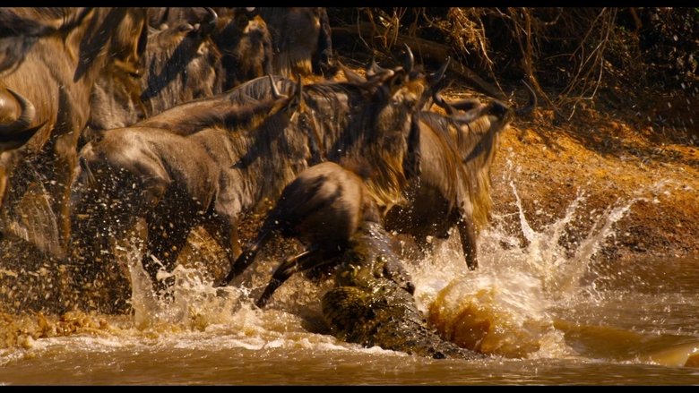 кадр из фильма Заколдованное королевство 3D