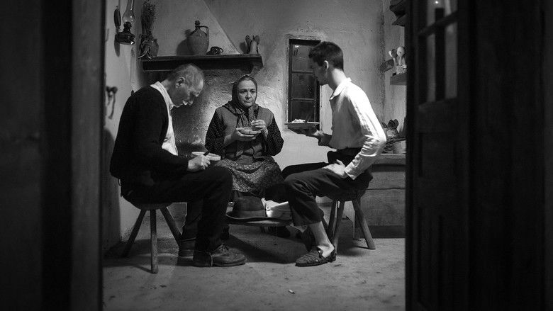 кадр из фильма Moromeţii 2