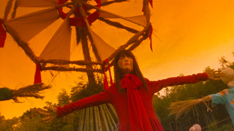 кадр из фильма 案山子