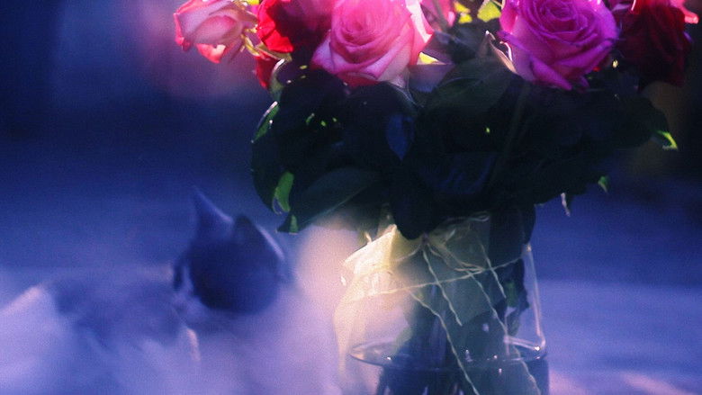 кадр из фильма Con los Ojos de mi Gato