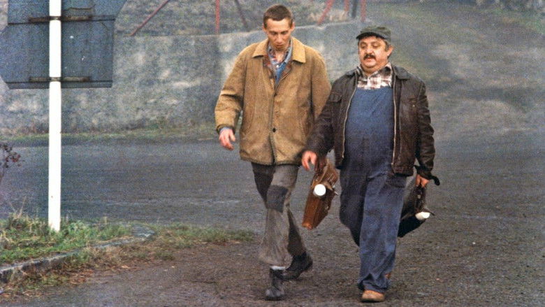 кадр из фильма Деревенька моя центральная