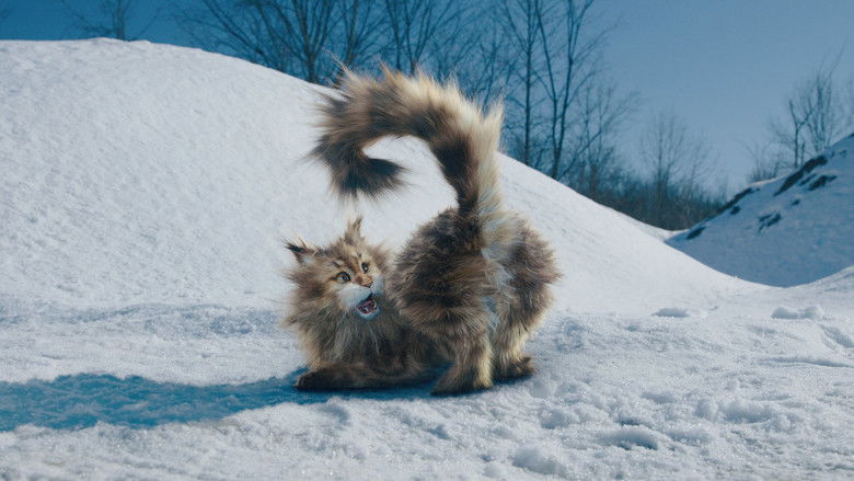 кадр из фильма Кот и пёс