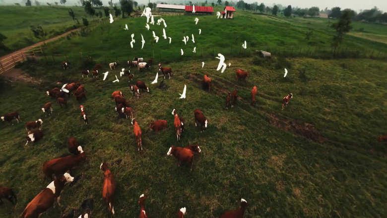 MARANDANG