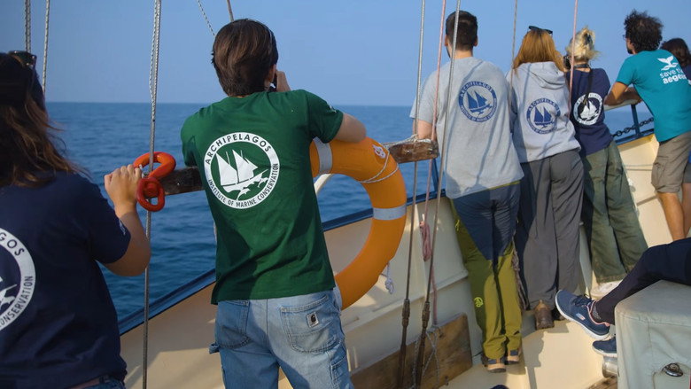 кадр из фильма Saving the Hidden Coral of the Mediterranean