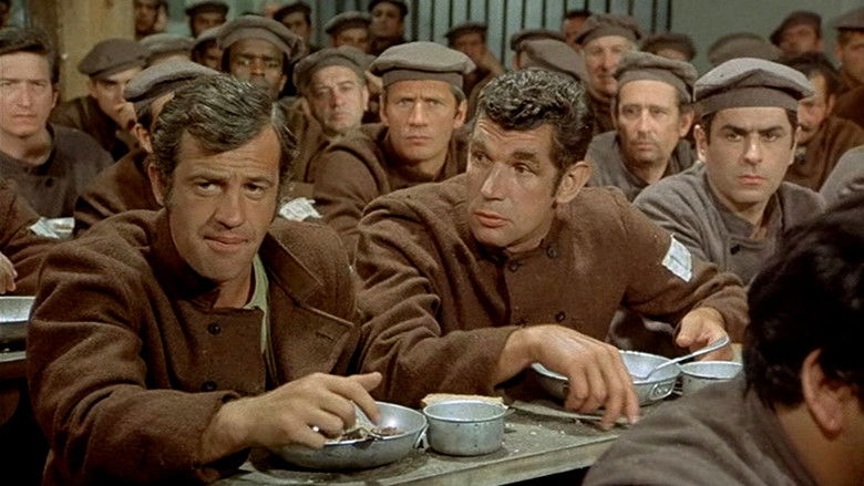 кадр из фильма Скумон: Приносящий беду