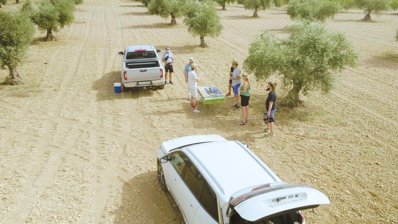 кадр из фильма Blood of the Ancient Vine