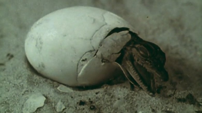 кадр из фильма Lucifer Rising