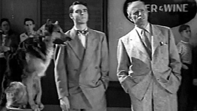 кадр из фильма The Flaming Urge