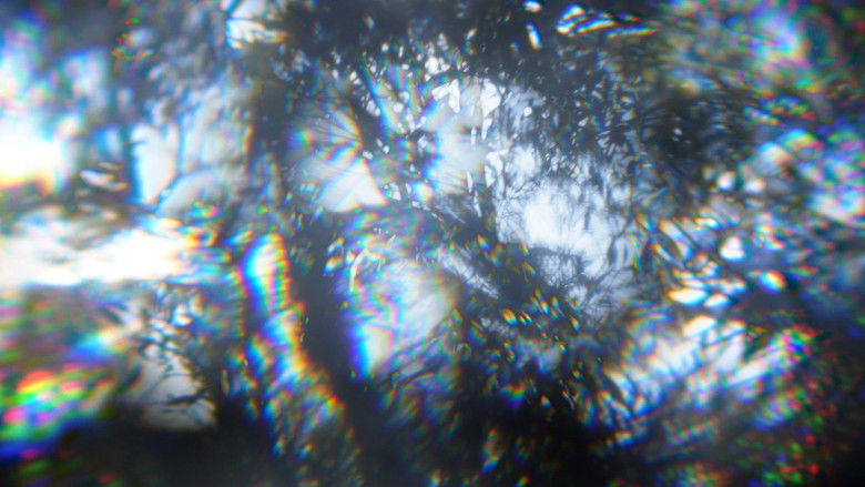 кадр из фильма Roots