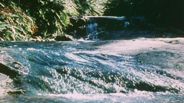 кадр из фильма Australian Bush