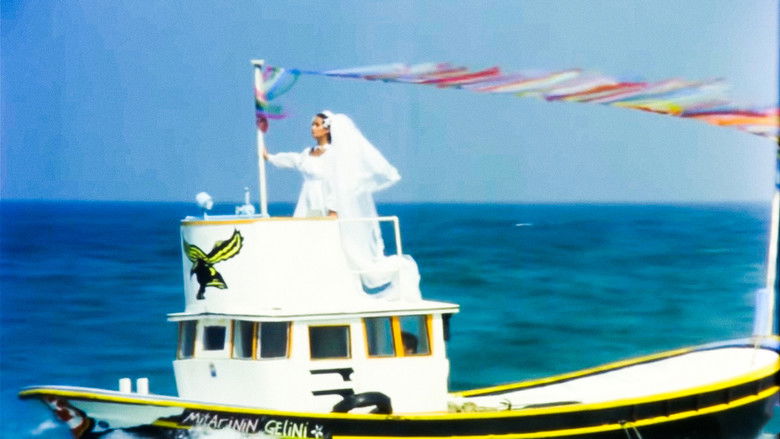 кадр из фильма Deli Kan