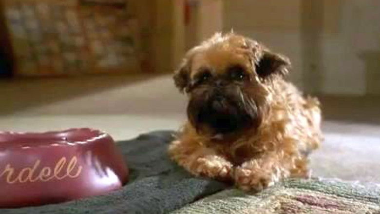 кадр из фильма Лучше не бывает