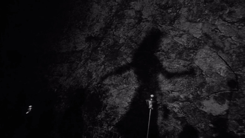 Ночной прилив