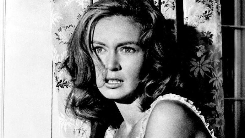 кадр из фильма Параноик