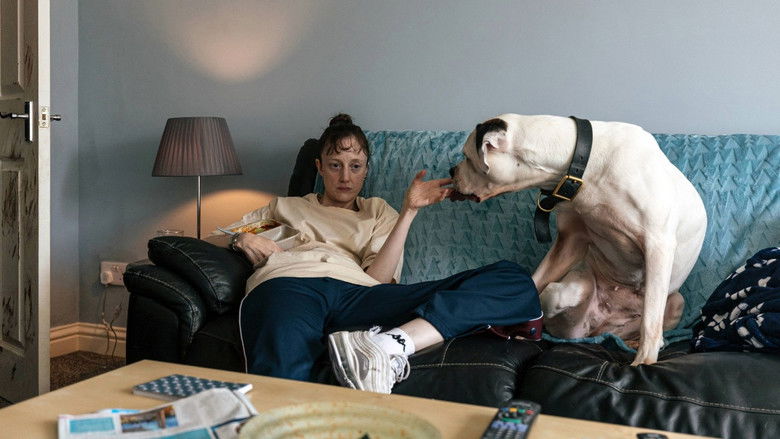 кадр из фильма Dragonfly