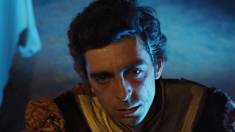 кадр из фильма Silvestre