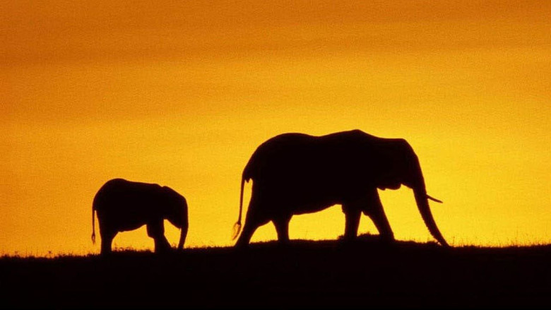 кадр из фильма Земля