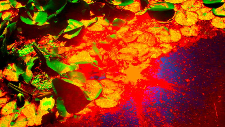 кадр из фильма Devolution / A.K.A. Rest In Peace