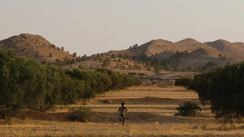 кадр из фильма Harka