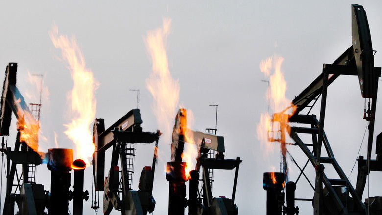 кадр из фильма Ice on Fire