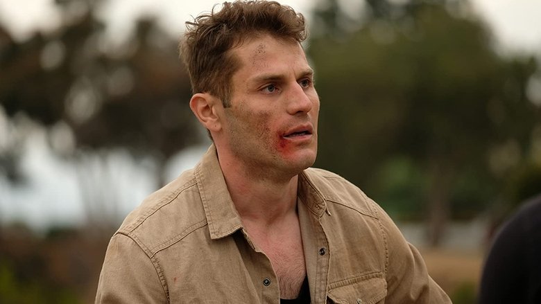 Завещание Теслы