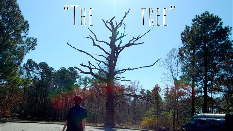 кадр из фильма The Tree