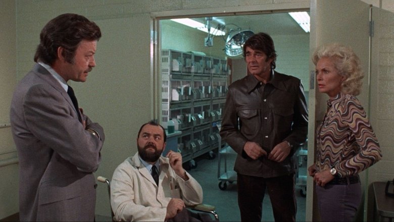 кадр из фильма Ночь кролика